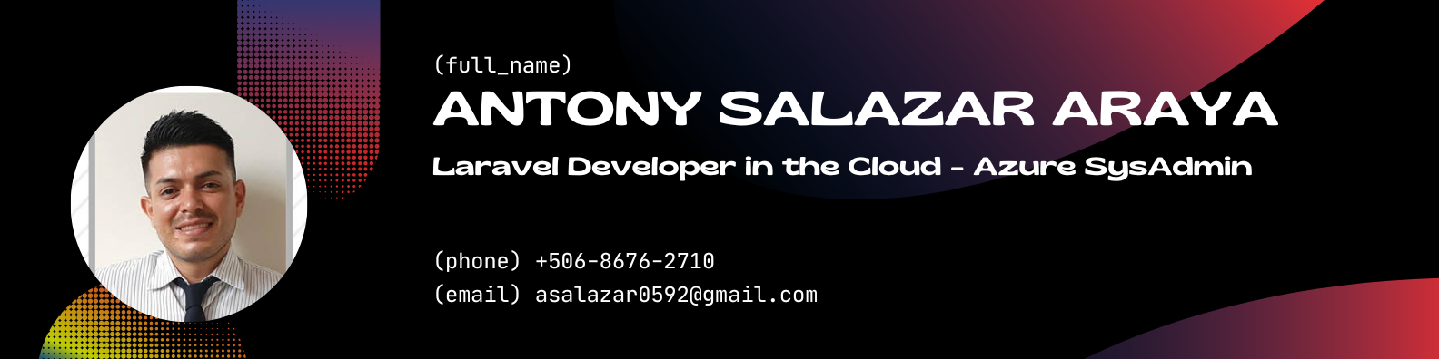 Developer